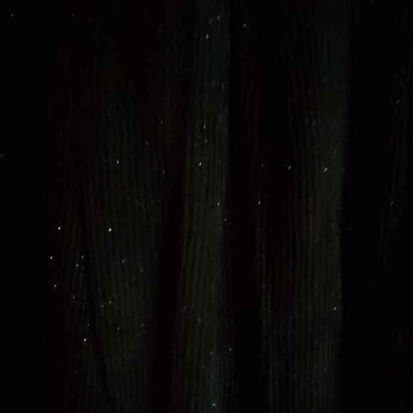 NWT Sequined Dress with Shimmery Skirt - Picture 3 of 6